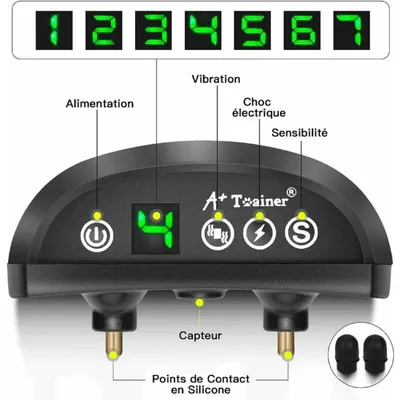 3-Modus-Hundetrainingshalsband: Stromschlag, Vibration, verstellbar, IP65