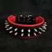 Frenchie Halsband
