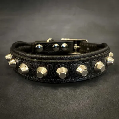 Das "Rock" Halsband