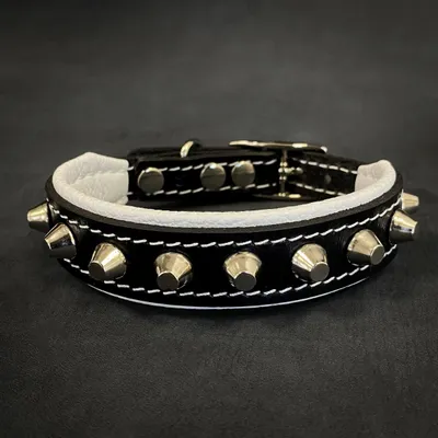Le collier Rock