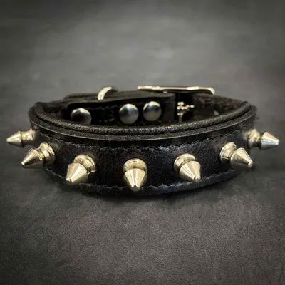 Spiky Halsband