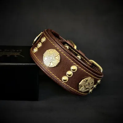 Maximus Echtleder Halsband 5 cm breit