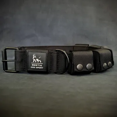 Hundehalsband mit Gewichten für Hundetraining großer Rassen. 2.3 kg