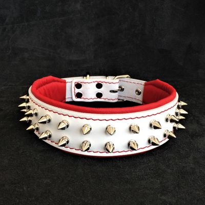 Weisses "Frenchie"  Halsband