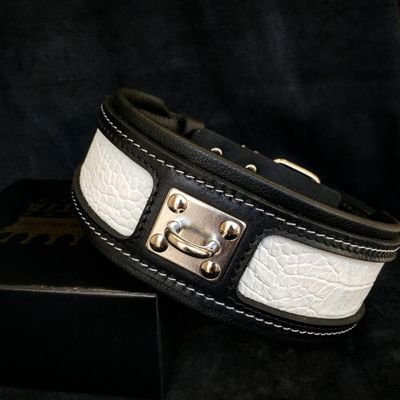 Le collier Reptile