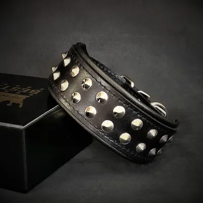 Boston Halsband Boston Halsband