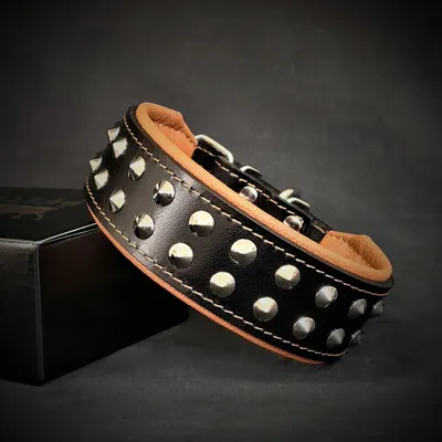 Boston Halsband Boston Halsband