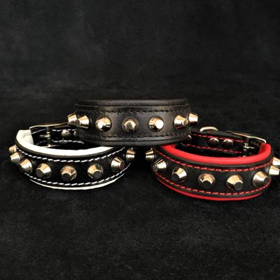 Das "Rock" Halsband
