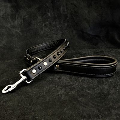 Hundeleine mit Stumpfnieten Schwarz