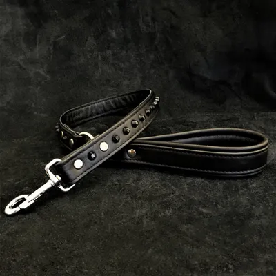 Hundeleine mit Stumpfnieten "Schwarz"