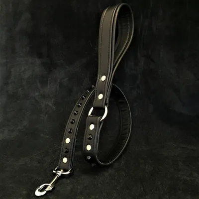 Bestia Laisse pour chien Clous plats