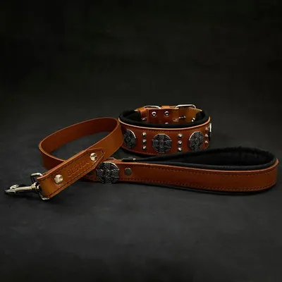 Maximus Silber Hundehalsband
