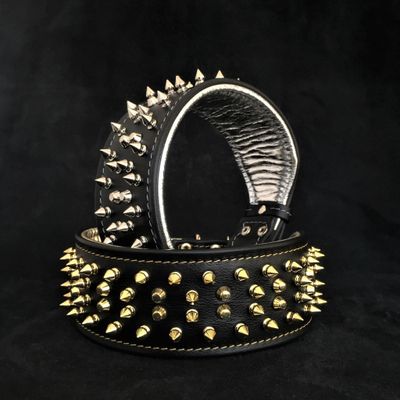 Das "Krone'' Halsband