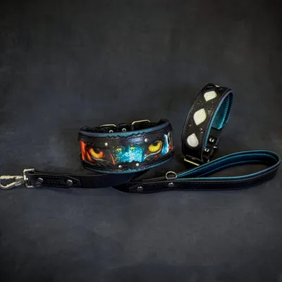 Das Avatar-Halsband