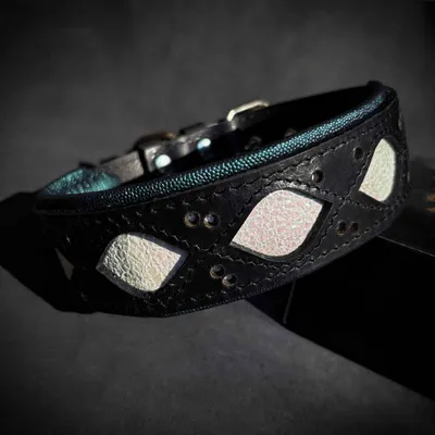 Das Avatar-Halsband