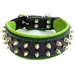 Bestia Hundehalsband Frenchie