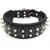 Bestia Hundehalsband Frenchie Bestia Hundehalsband Frenchie