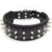 Bestia Hundehalsband Frenchie