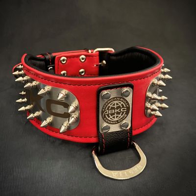 Das ABKC-Halsband