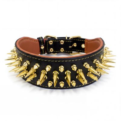 Das "Big Boy" Halsband