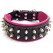 Bestia Hundehalsband Frenchie
