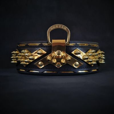 Das ''Midas'' Halsband