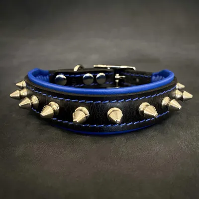 Spiky Halsband