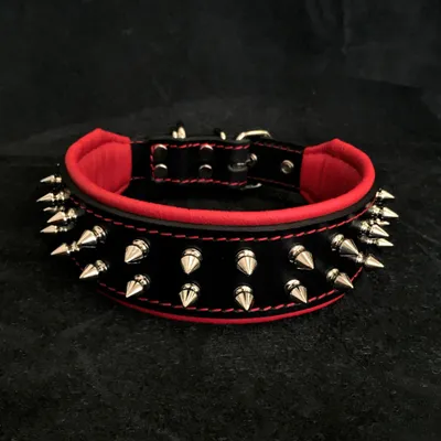 Collier Frenchie Collier Frenchie