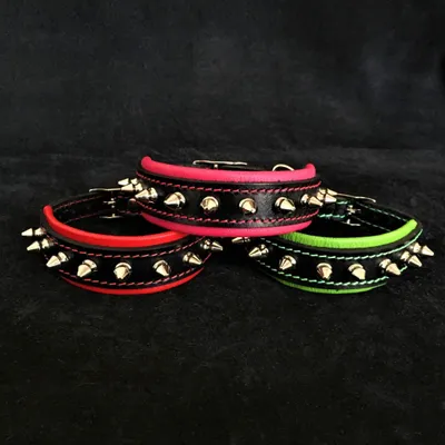Spiky Halsband