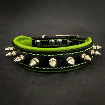 Spiky Halsband