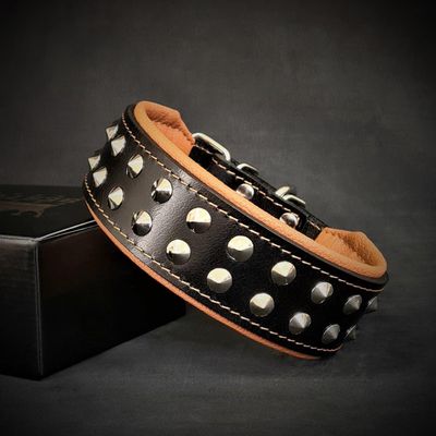 Boston Halsband