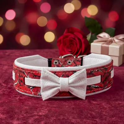 Collier Saint-Valentin Limited Collier Saint-Valentin Limited
