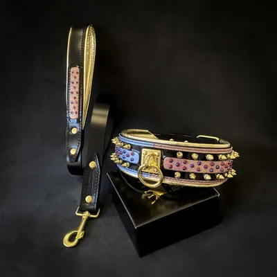 Der Candy Hundehalsband