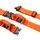 L - 40 - 60 cm / Orange