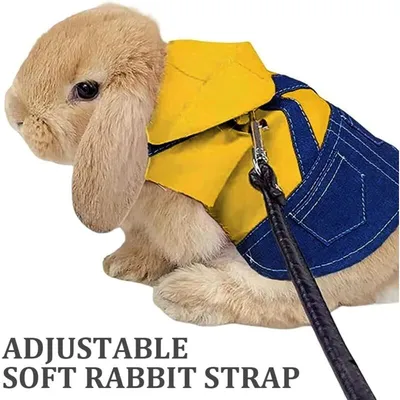 Pawffee Arnés transpirable ajustable para conejos con correa chaleco pasear