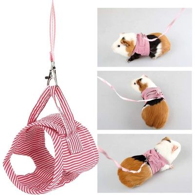 Pawffee Arnés para hámster: correa cómoda para paseos con animales pequeños
