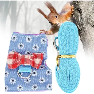 Pawffee Arnés transpirable para conejos/hámsteres con correa, talla XS