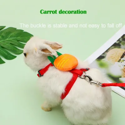 Pawffee Arnés para animales pequeños: correa ajustable facilitar paseos Pawffee Arnés para animales pequeños: correa ajustable facilitar paseos