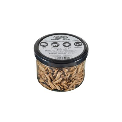 EntoZoo Hermetia Larven im Glas