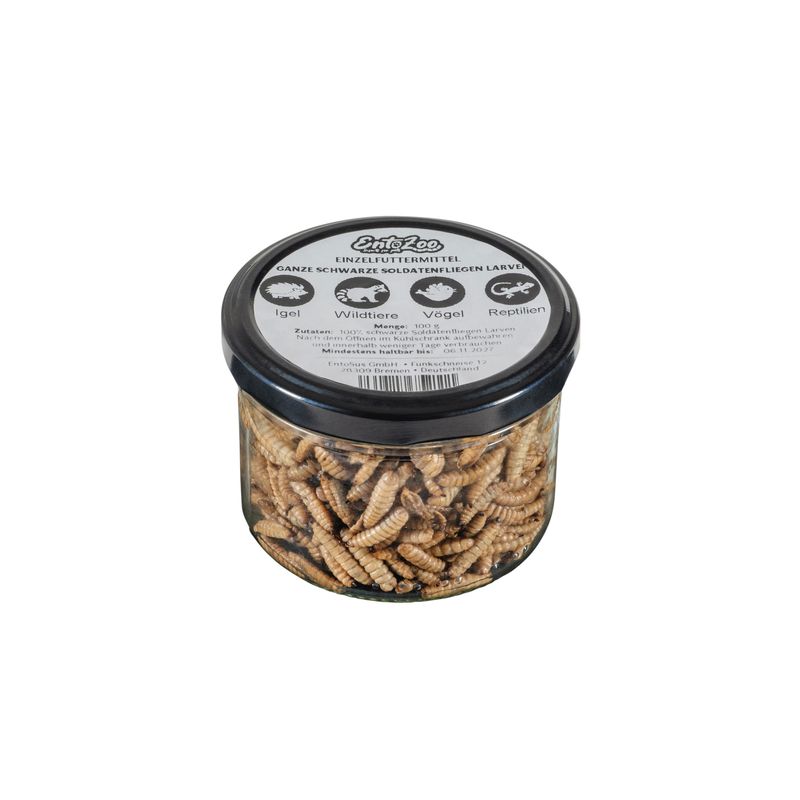 EntoZoo Hermetia Larven im Glas