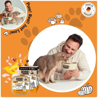 Dogs’n Tiger Frohsinn Multibox Katzenfutter, Huhn, Pute & Kürbis Dogs’n Tiger Frohsinn Multibox Katzenfutter, Huhn, Pute & Kürbis