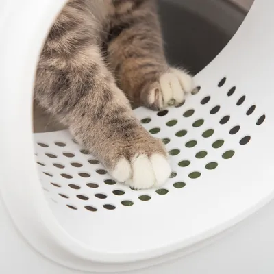 PawHut Katzenklo