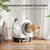 PawHut Selbstreinigende Katzentoilette