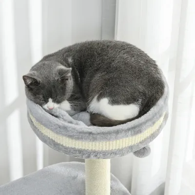 PawHut Kratzbaum