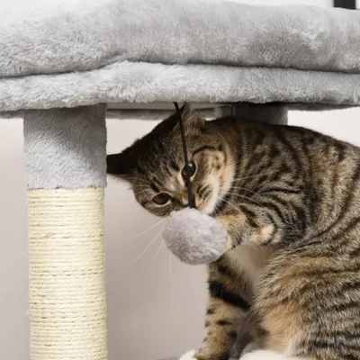 PawHut Kratzbaum