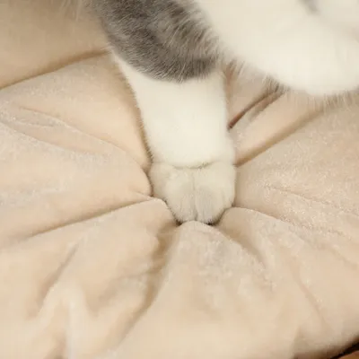 PawHut Kratztonne