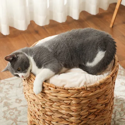 PawHut Kratztonne