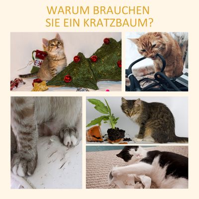 PawHut Kratzbaum