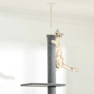 PawHut Kratzbaum