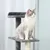 PawHut Kratzbaum